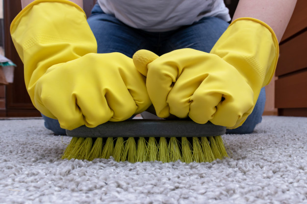 a person cleaning a carpet with a brush
