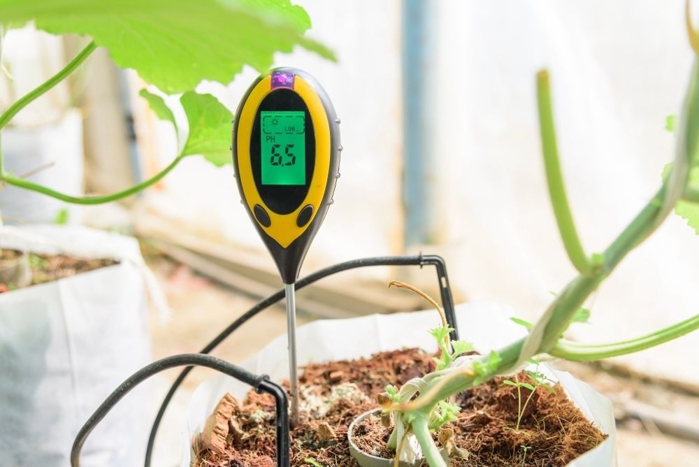 Most plants prefer a slightly acidic to neutral pH (6.0-7.0)