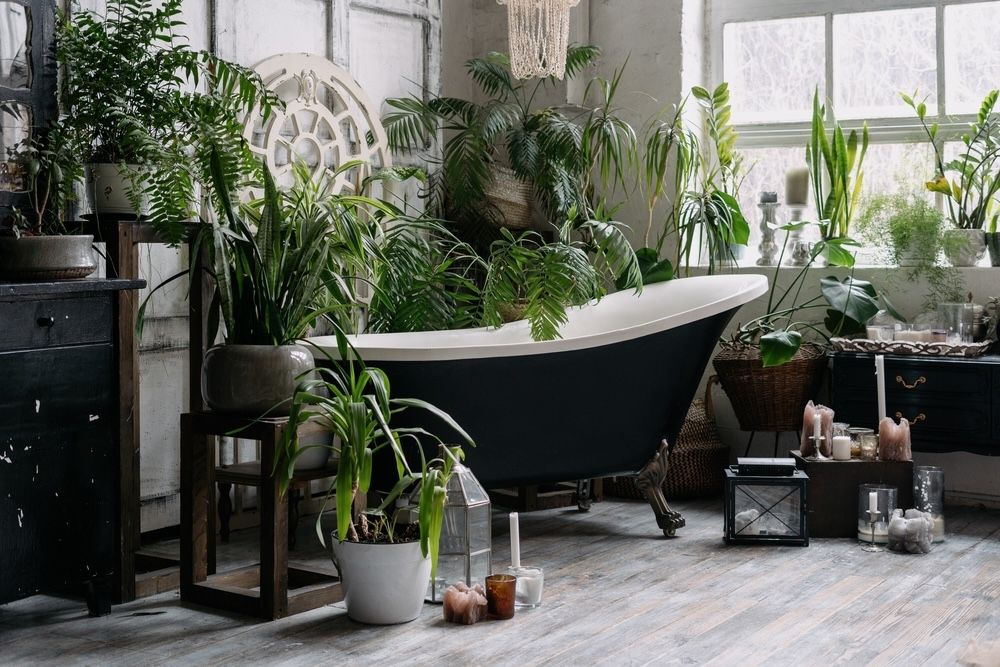 This image beautifully demonstrates how plants and soft lighting can completely transform a bathroom into a calming oasis. The potted plants add a fresh, natural feel, while the soft glow of the candles enhances relaxation. These personal touches not only improve the aesthetic but also contribute to a soothing, spa-like environment, perfect for unwinding after a long day.