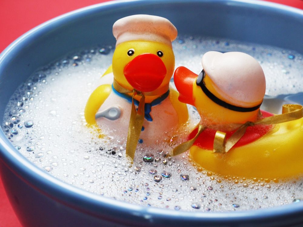 The wet and moist bath toys contain germs.