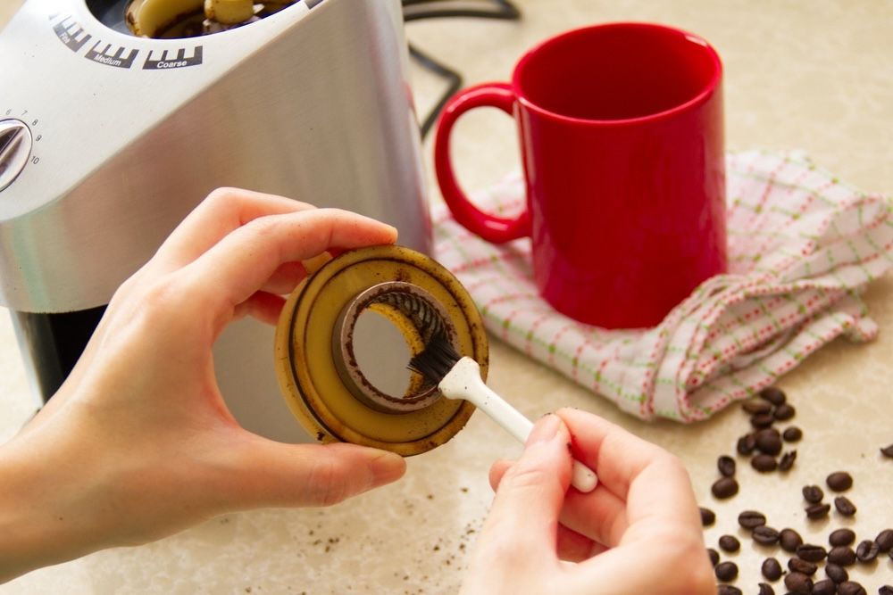 A soft brush is perfect for removing loose coffee grounds from the grinder's components.