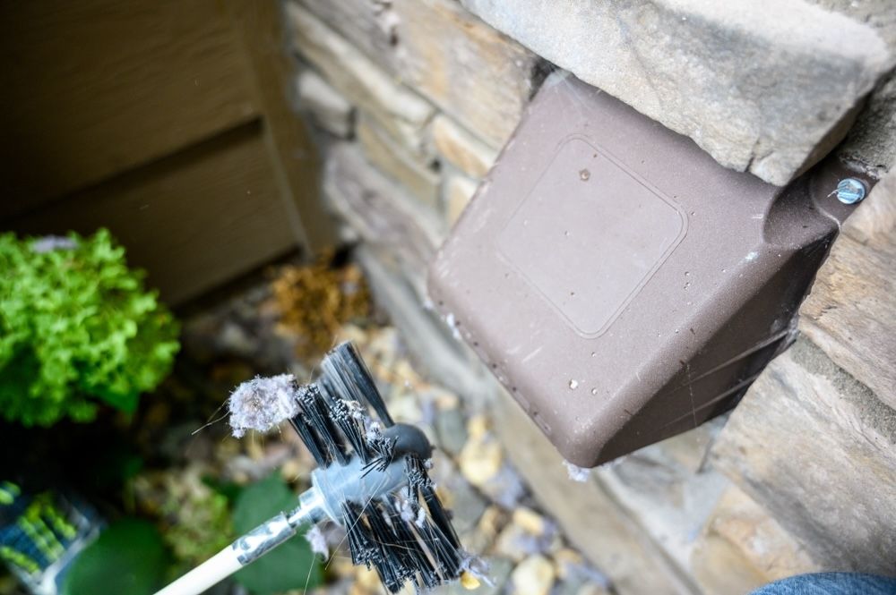 Ensure the exterior vent is clear of debris and functioning properly.