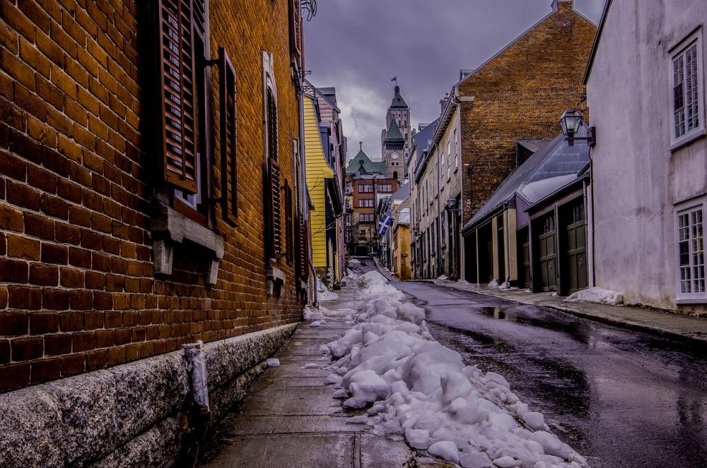 Damp basements can spread the mold.