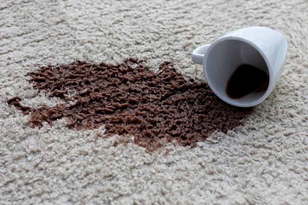 Enzymatic cleaners, such as protease and lipase, can break down organic stains like coffee spills on carpets, making them easier to remove.