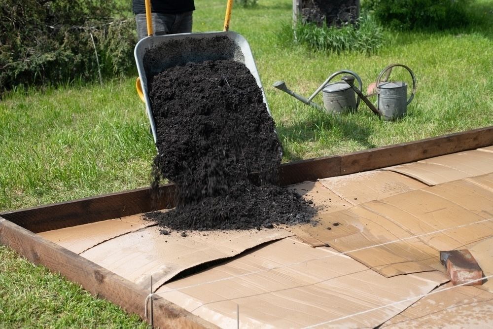 Building the foundation for a no-dig garden bed using layers of cardboard and rich compost. This method helps suppress weeds and enrich the soil without tilling.