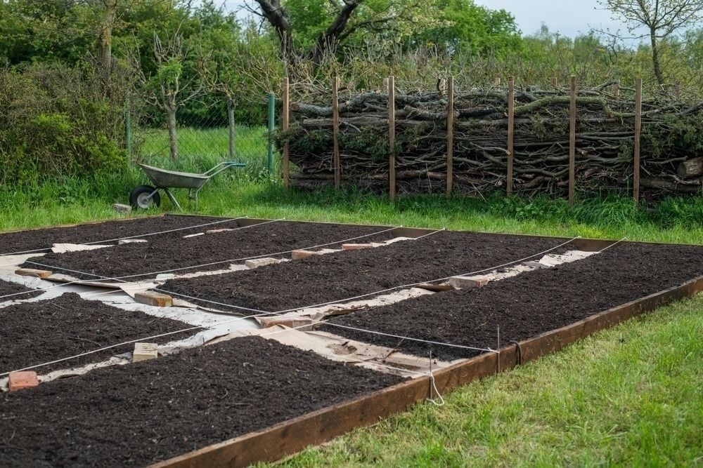 The layout of a newly created no-dig garden bed, demonstrating the use of organic layers and strategic planning for optimal growth.