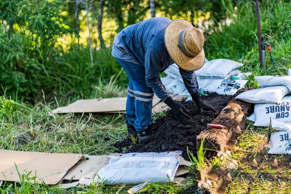 A gardener spreads compost over a new no-dig vegetable garden, preparing the soil for planting without disturbing its natural structure.