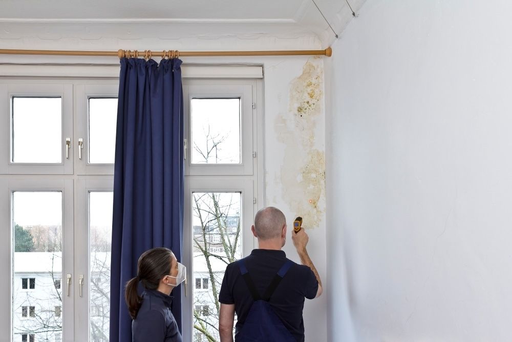 Mold growth can cause significant health issues and structural damage if not addressed promptly. Understanding the conditions that promote mold growth, such as high humidity and poor ventilation, is essential for effective prevention.