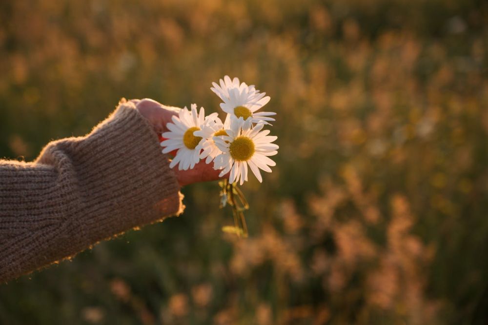 Cleaning supplies that are better for the environment are also much healthier for you.