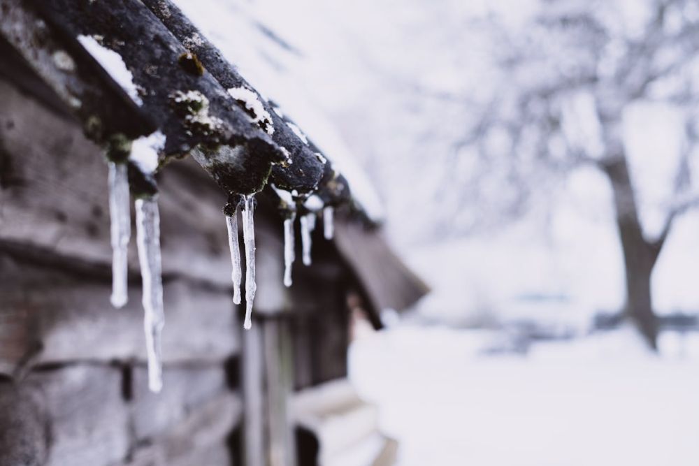 A wet roof can cause the spread of mold spores.