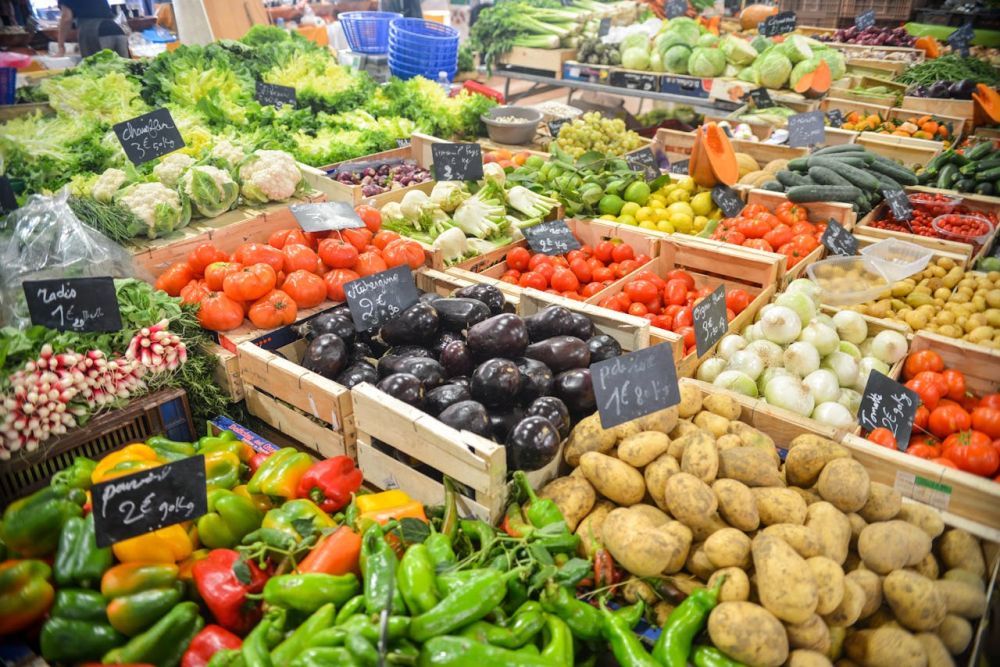 Freshly plucked organic vegetables.