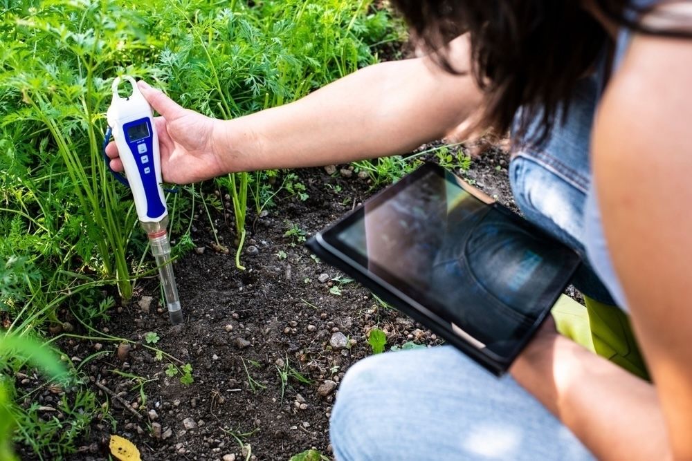 pH meters provide instant and precise soil pH readings.