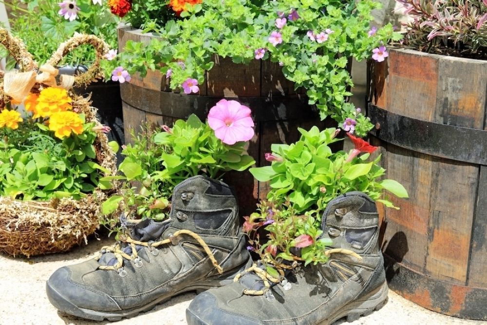 Repurposing old shoes into planters is a creative and sustainable way to upcycle footwear. Sneakers and boots can be filled with soil and used to grow small plants like herbs or succulents. Their natural ventilation helps with drainage, making them ideal containers for your garden.