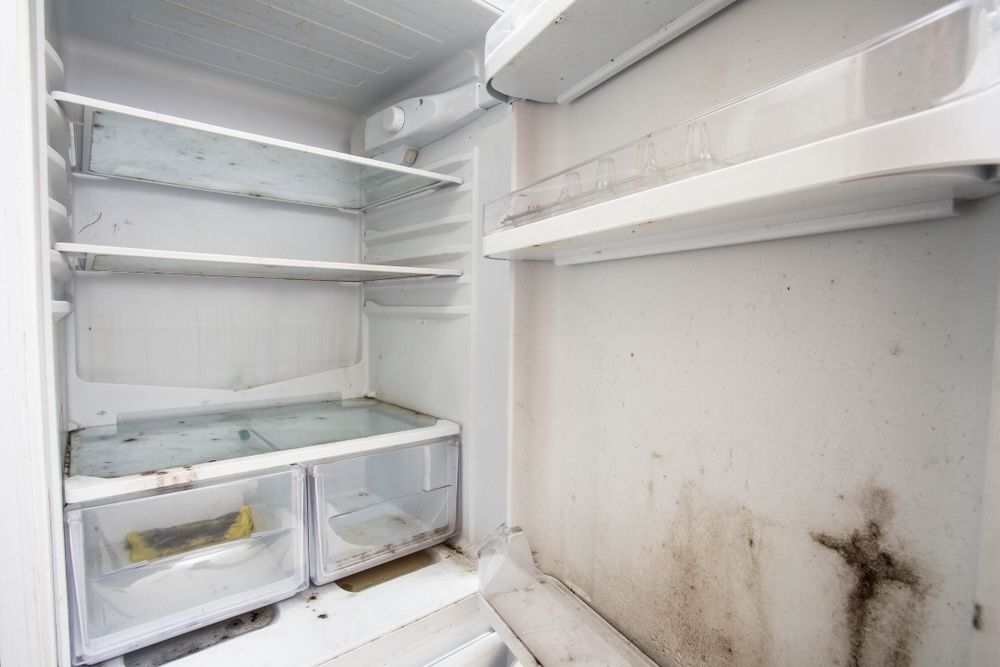 Neglecting to clean your refrigerator can lead to mold, bacteria, and unpleasant odors. Regular maintenance is crucial to prevent these issues and ensure a safe food storage environment.
