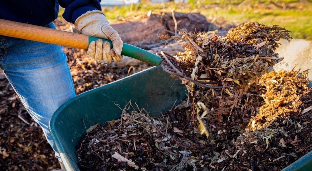 Using a pitchfork to add wood chips and shredded brush to a no-dig raised bed, enhancing the garden’s organic matter and improving soil structure.