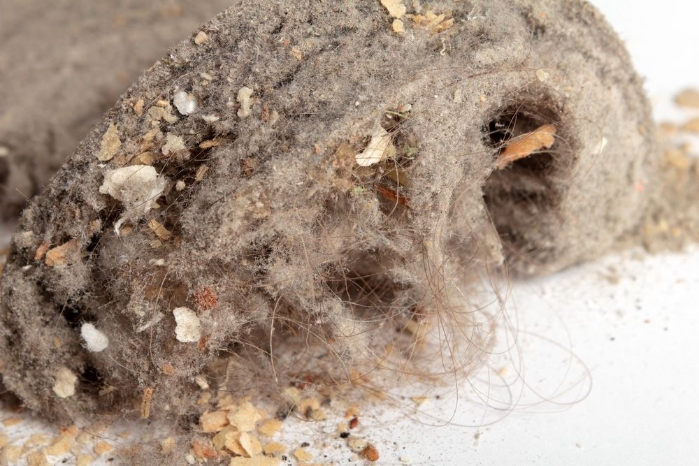 Close-up view of accumulated dust, which provides an ideal habitat for dust mites. Regular cleaning and dust management are essential in preventing dust mite infestations.