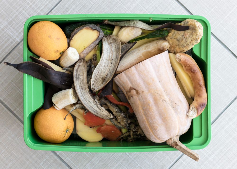 Organic food waste in a basket top view.