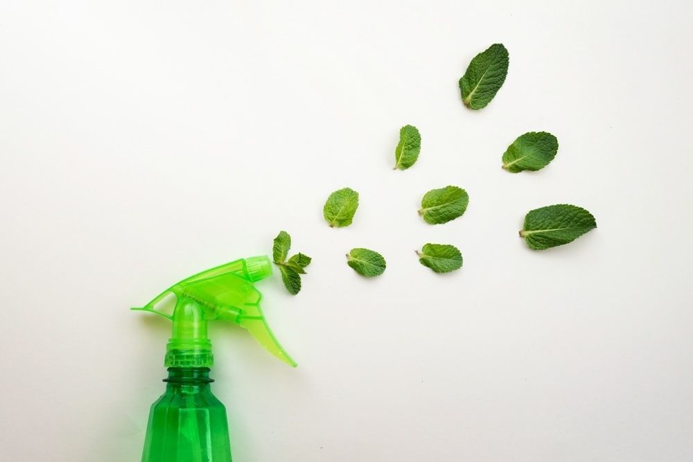 Effect Safe Clean The Impact of Sustainable Cleaning Products on Health and Environment ...