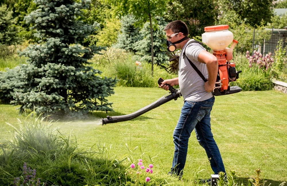 A gardener applies chemical sprays to protect his lush garden.