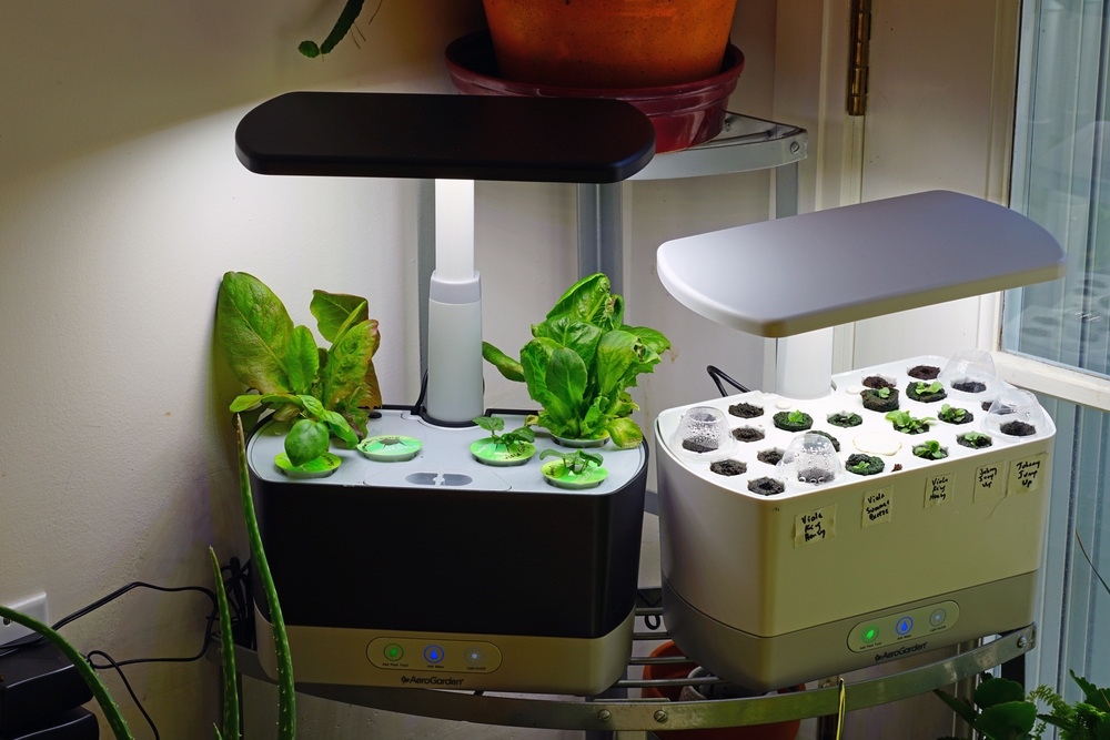 Compact Urban Harvest – Hydroponic Innovation at Home
