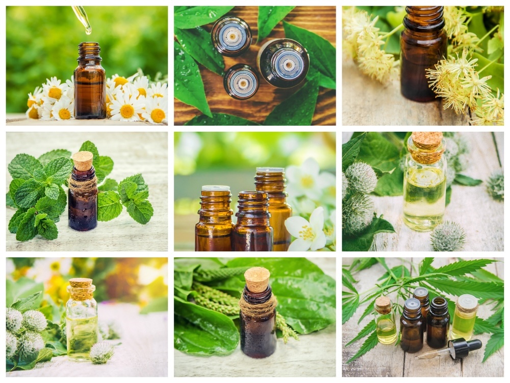 Essential oils line up as natural warriors against pests.