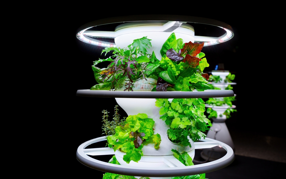 Urban Green Innovations in Hydroponic Gardening